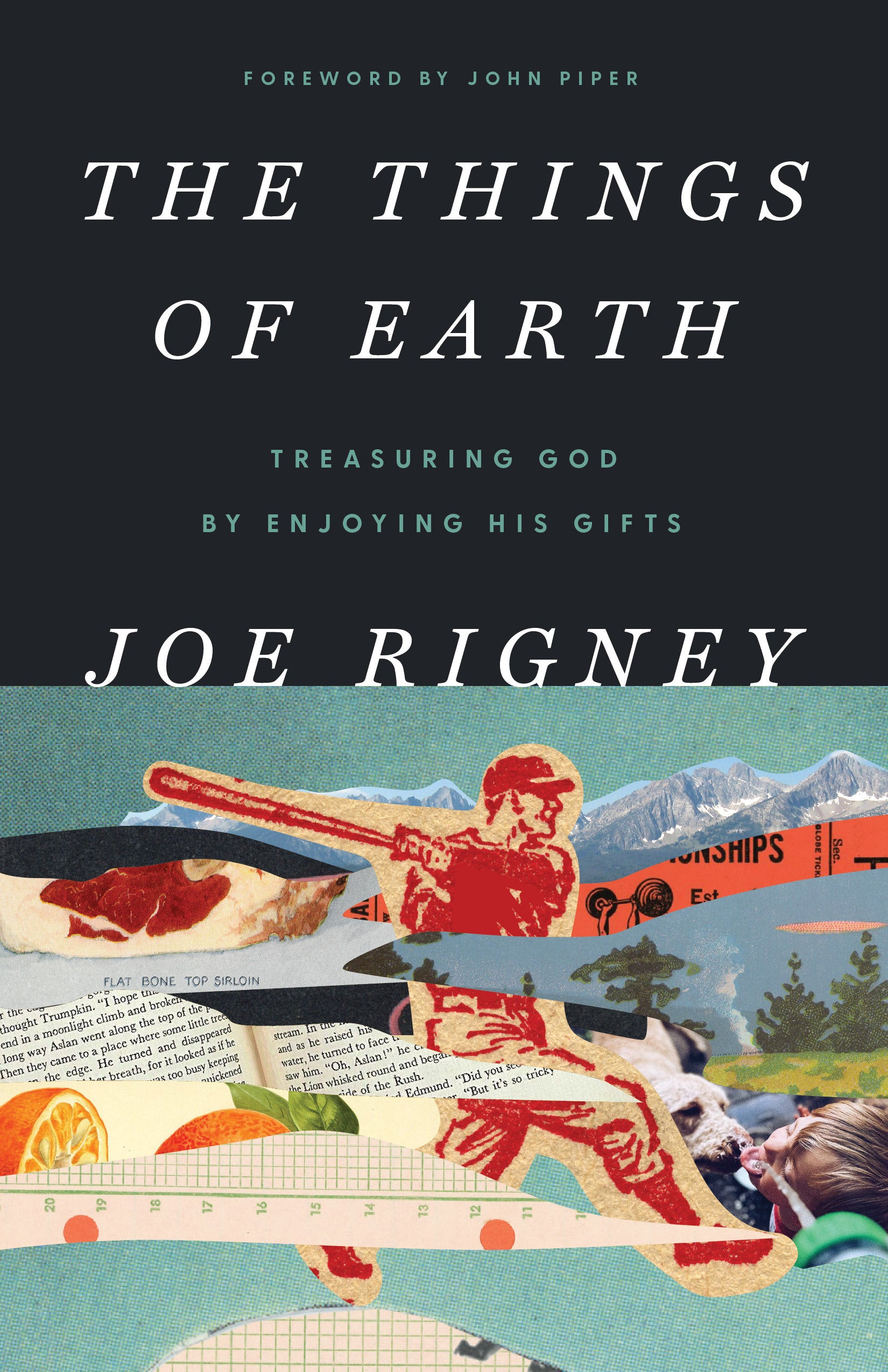 The Things of Earth: Treasuring God by Enjoying His Gifts (2nd Ed)