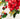 Hedgerose Dishtowel