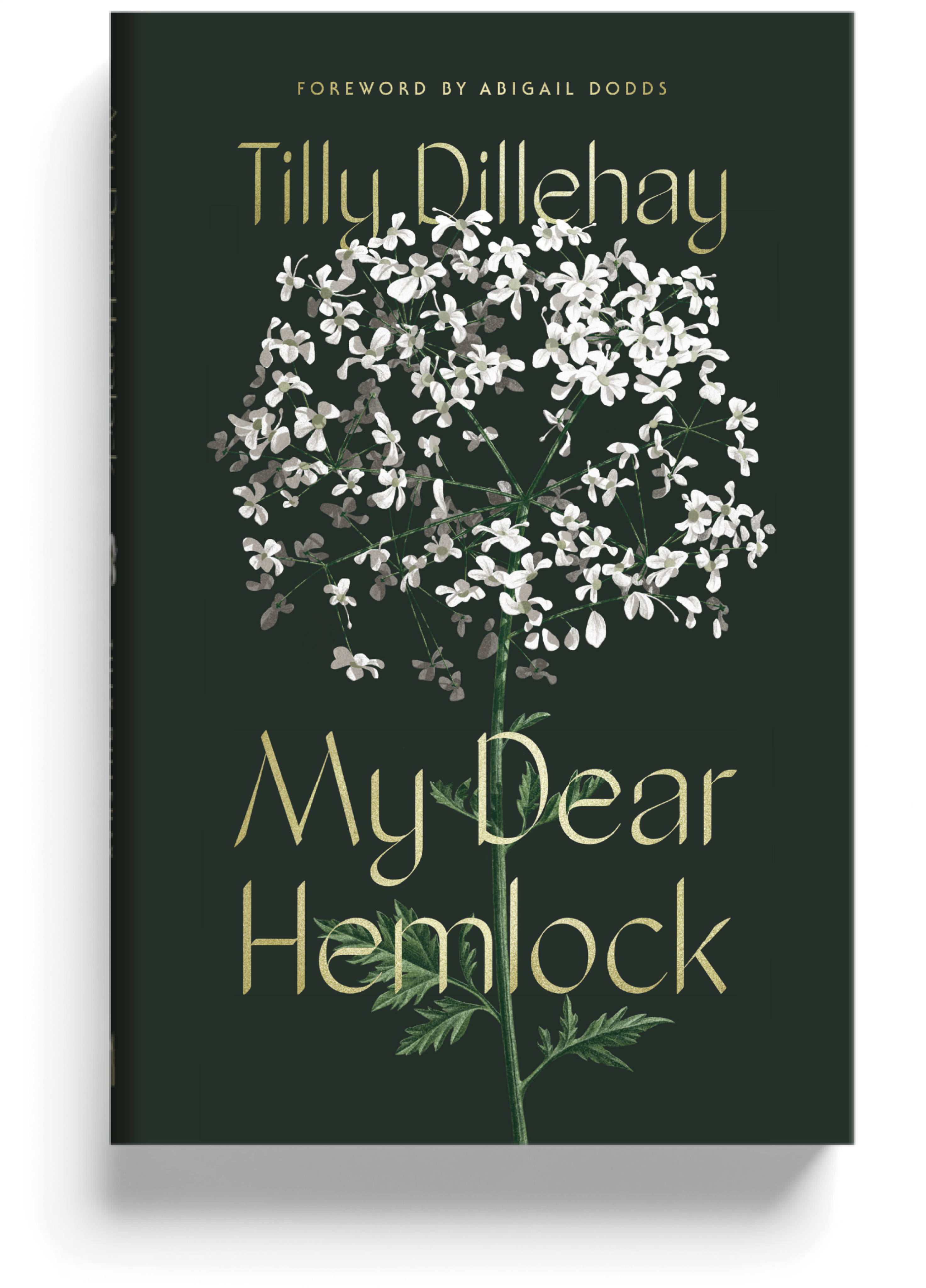 My Dear Hemlock