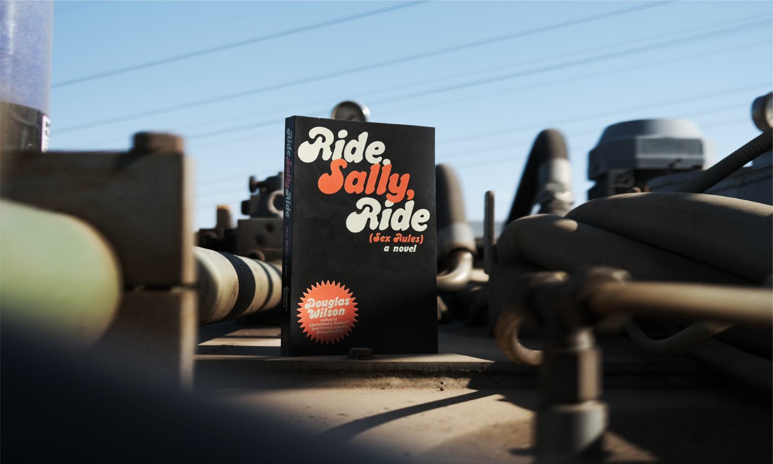 Ride Sally Ride (Sex Rules): A Novel