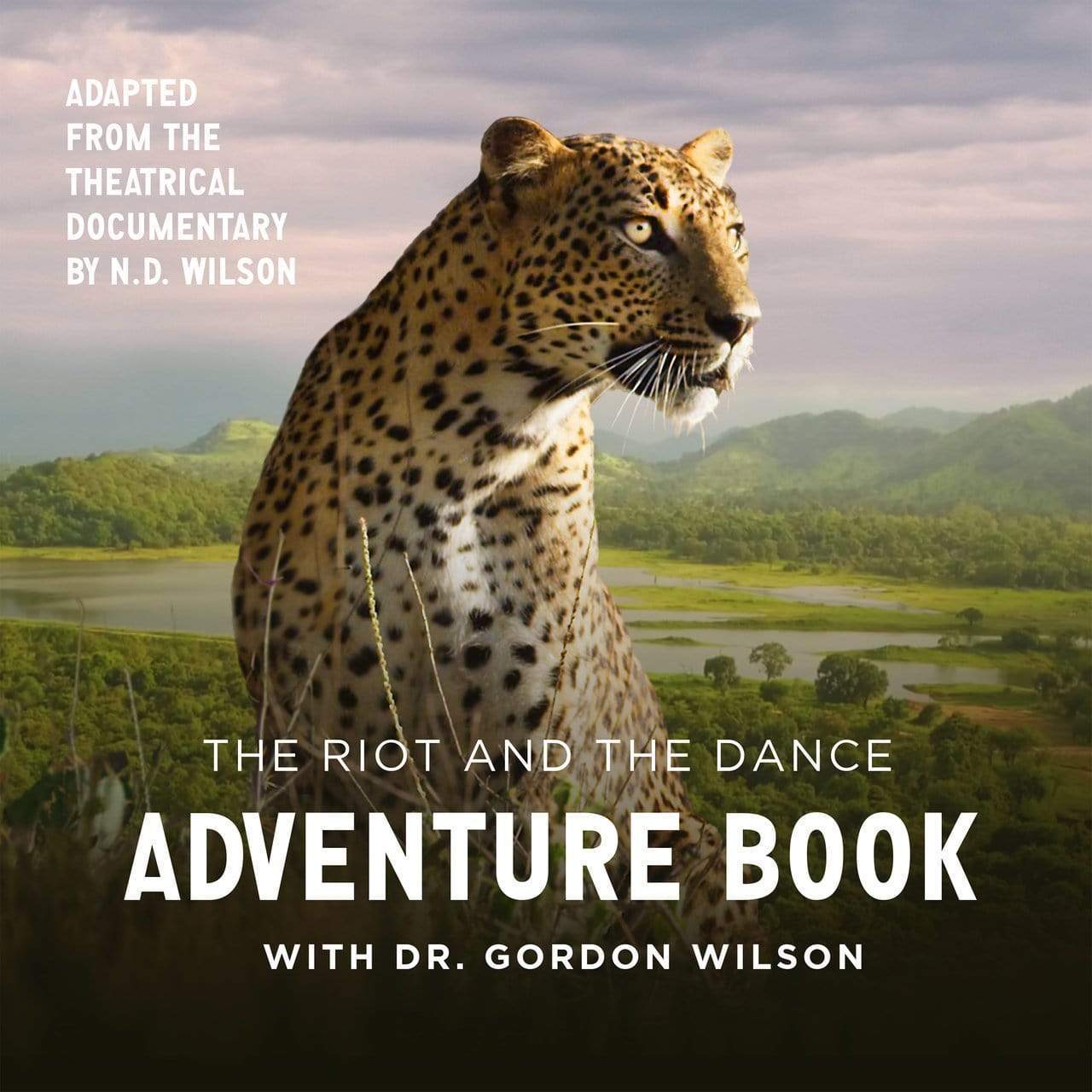 The Riot and the Dance Adventure Book