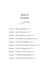 Other Side of the Coyne