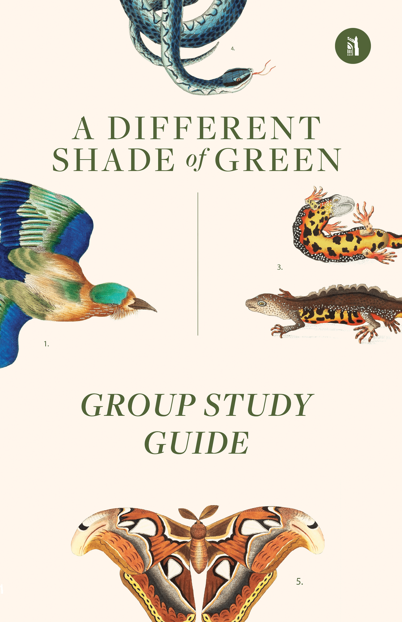 A Different Shade of Green Group Study Guide