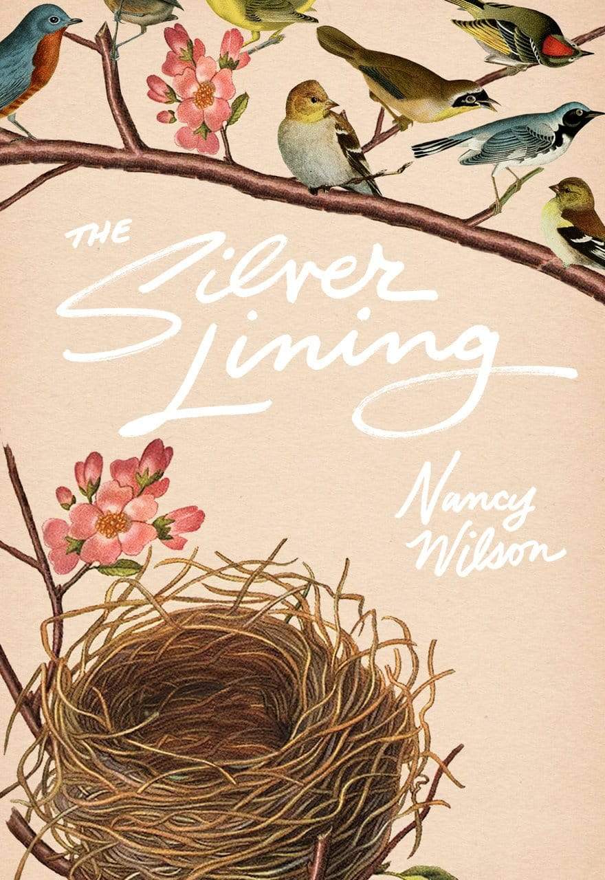 The Silver Lining: A Practical Guide for Christian Grandmothers